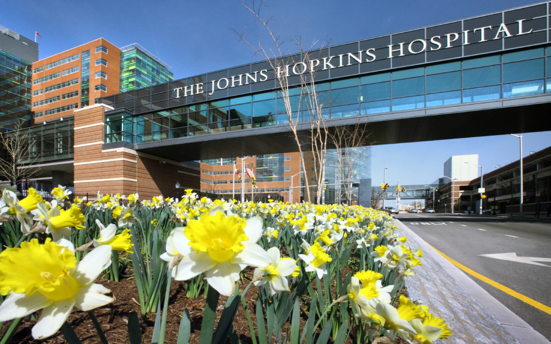 Ted Giovanis gives $35M to Johns Hopkins to study cancer metastasis